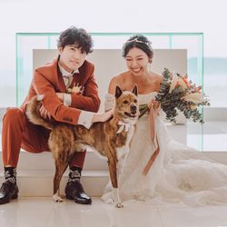 わんだふる特典付き！ペットも主役の笑顔あふれる演出満載フェア