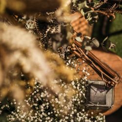 CAFE&WEDDING 22の会場装飾写真32枚目