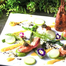 2月特大フェスタ★オマール海老食べつくし！豪華試食×おしゃれW