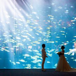 話題の＼水族館ウエディング／限定ご案内×館内ツアー