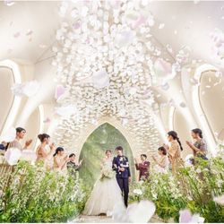 初めてフェア◎【気軽なファーストステップ】コース試食＆ギフト