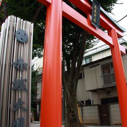 赤城神社の挙式会場・演出写真5枚目