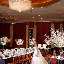 ◆1/18限定◆年2回のBIGフェア【SPRINGフェスタ】