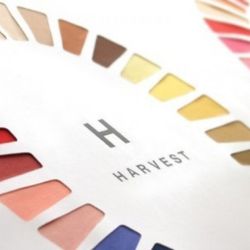 1組限定《パーソナルカラー診断》試食付！ドレス選びにも役立つ