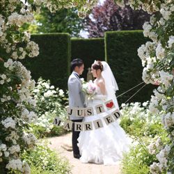 キングスウェルの庭・ガーデン写真4枚目