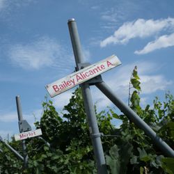 ルミエールワイナリーの全体イメージ写真2枚目