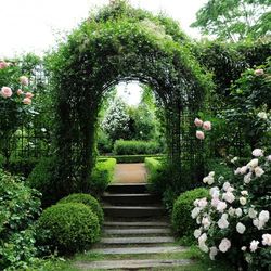 クレマチスの丘の会場設備写真5枚目