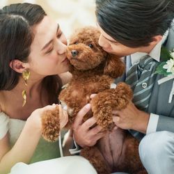 【大切なご家族と】ペットwedding相談会×特別優待付き