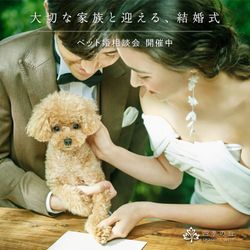 【ペット婚5大優待】ワンちゃん料理特典付♪大聖堂×眺望独占×黒毛和牛コース＊貸切の魅力満載フェア