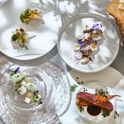 【月1回限定】豪華コース料理試食付premium　fair