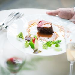 ＼料理重視の方必見／美味しさで選ぶ、平日限定の特別な一日！