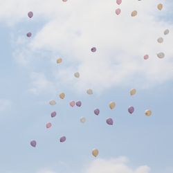 ホテル メルパルク東京の庭・ガーデン写真2枚目