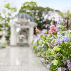 ホテル メルパルク東京の庭・ガーデン写真4枚目