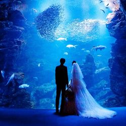 【京都らしい前撮り】京都水族館や和装ロケ撮可能◆何でも相談会