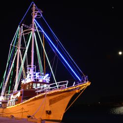 オーシャン・プリンセス号の全体イメージ写真9枚目