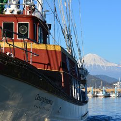 オーシャン・プリンセス号の全体イメージ写真10枚目