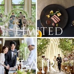 ウエディングニュース限定*【8月最初のBIGフェア】ドレス30万特典＆最大170万特典＊試食付