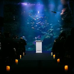 【憧れの場所で】サンガスタジアムor京都水族館で叶えるウェディング♪
