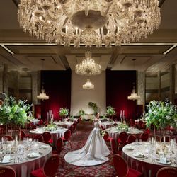 【GWプレミアム】国産牛フィレなど3品試食×限定ガチャ抽選会