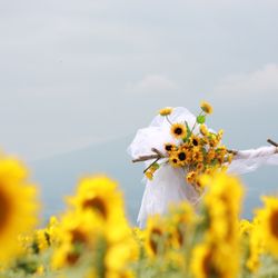 明野ひまわり畑 サンフラワーチャペルの会場装飾写真1枚目