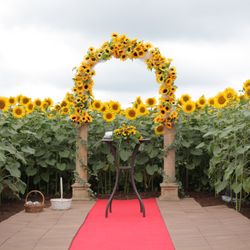 明野ひまわり畑 サンフラワーチャペルの会場装飾写真2枚目