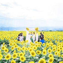 明野ひまわり畑 サンフラワーチャペルの挙式会場・演出写真3枚目