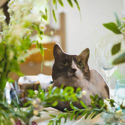 泊まれる公園 INN THE PARKの会場装飾写真35枚目