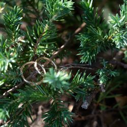 泊まれる公園 INN THE PARKのドレス・和装写真25枚目