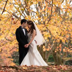 泊まれる公園 INN THE PARKの会場設備写真9枚目