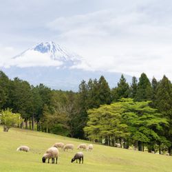 Makaino FARM Weddingの挙式会場・演出写真22枚目
