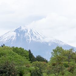 Makaino FARM Weddingの披露宴会場・演出写真8枚目