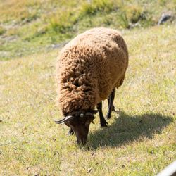 Makaino FARM Weddingの会場設備写真16枚目