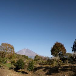Makaino FARM Weddingの庭・ガーデン写真8枚目