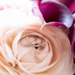 Restaurant L'OASIの披露宴会場・演出写真30枚目