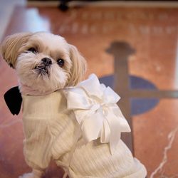 【愛犬と一緒】ガーデン付のチャペルで一緒に過ごすペット婚＊