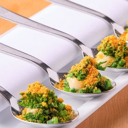 【ミニコース無料試食付】会場見学×無料試食×オリジナルWD相談★プレミアムフェア