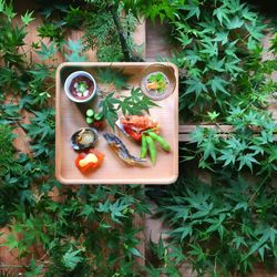 【新挙式場オープン】伝統の美味ランチ試食付き！和装試着フェア