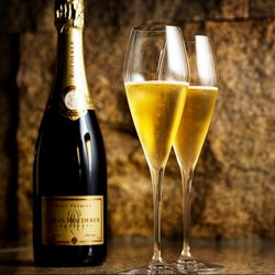 【17:30限定】シャンパーニュフリーフロー∞上質空間で心ゆくまで堪能