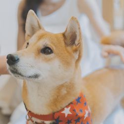 【ペットも大切な家族♪】大切なペット過ごすガーデンウェディングご相談会