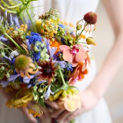 【年末年始のお知らせ】1月2日より新春特大フェア開催!