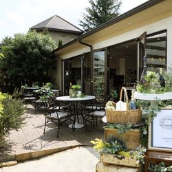 レストラン アルシオーネ COENA caféのカバー写真