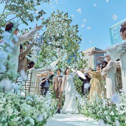 ザ ジャクソン ガーデン(THE JACKSON GARDEN)のカバー写真