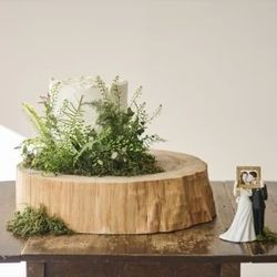 【平日ゆったり｜無料試食付き♪】見学＆結婚準備段取りご相談フェア