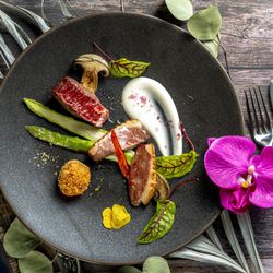 【60周年限定特別フェス】ハーフコース試食×リアル体験