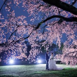 増席！【桜フェア】最大55万円優待×豪華試食×春彩る桜色の限定スイーツ