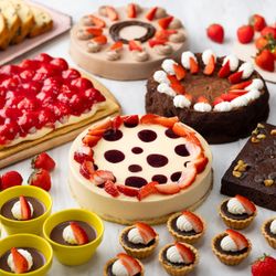 【ブッフェ付相談会】美食とおもてなし体感＆邸宅見学◆特典付