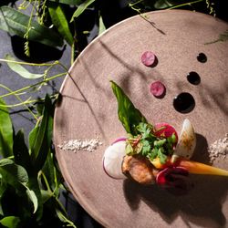 一番人気Fair口コミ4.5★厳選2万試食×3会場見学＆見積り相談会