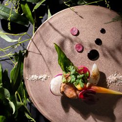 一番人気Fair口コミ4.5★厳選2万試食×3会場見学＆見積り相談会