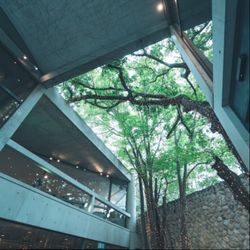 ◆平日限定 前撮り付◆安藤建築＆美食コース堪能フェア