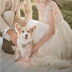 《大切なペットと一緒に》試食＊館内貸切でペットと一緒でも安心